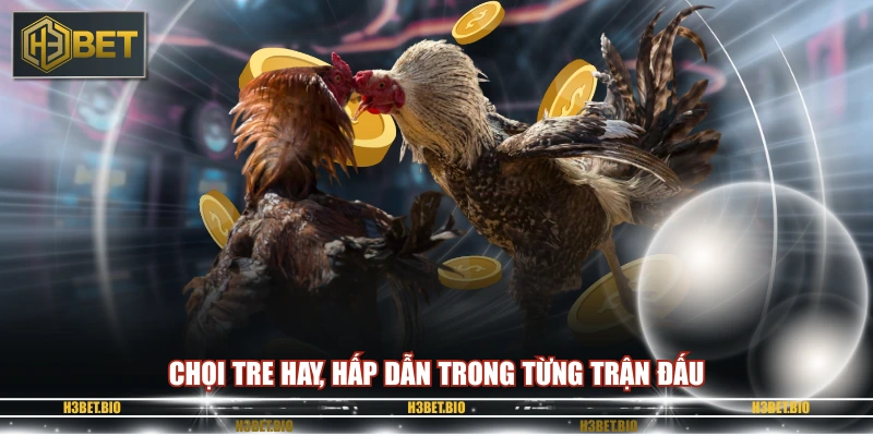 Chọi tre hay, hấp dẫn trong từng trận đấu