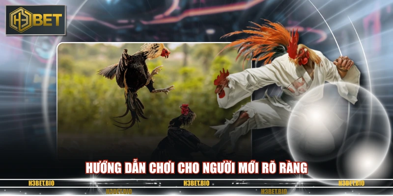 Hướng dẫn chơi cho người mới rõ ràng