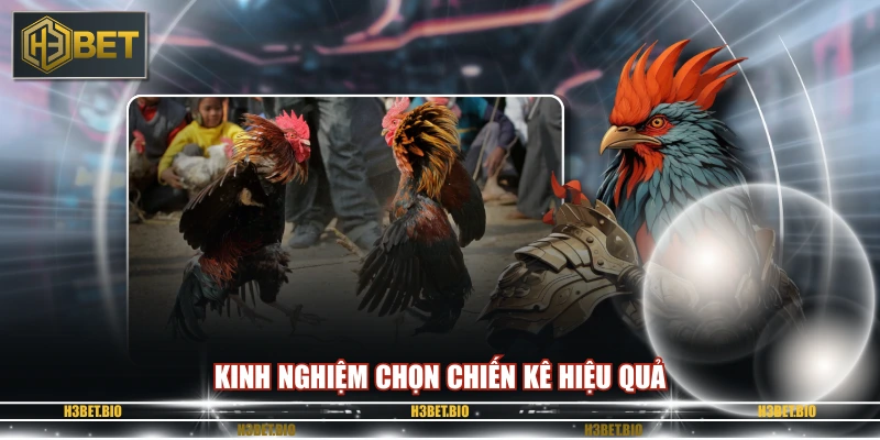 Kinh nghiệm chọn chiến kê hiệu quả
