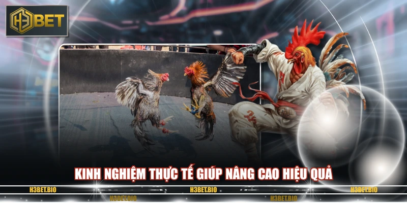 Kinh nghiệm thực tế giúp nâng cao hiệu quả