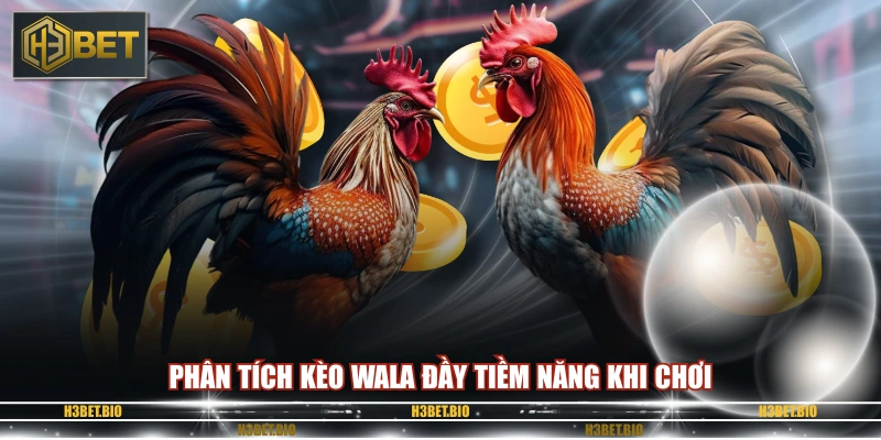 Phân tích kèo Wala đầy tiềm năng khi chơi