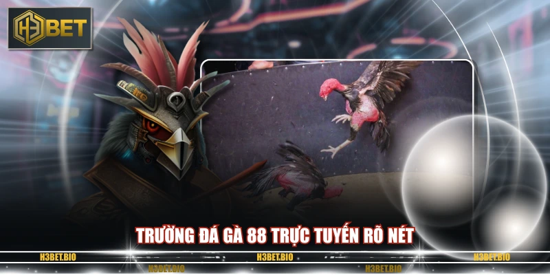 Trường đá gà 88 trực tuyến rõ nét