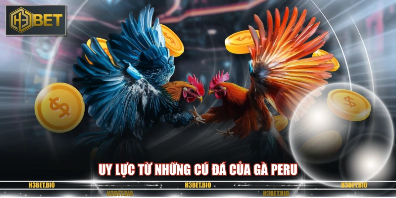 Uy lực từ những cú đá của gà Peru