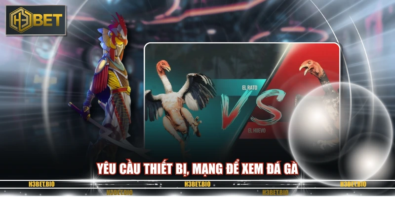 Yêu cầu thiết bị, mạng để xem đá gà